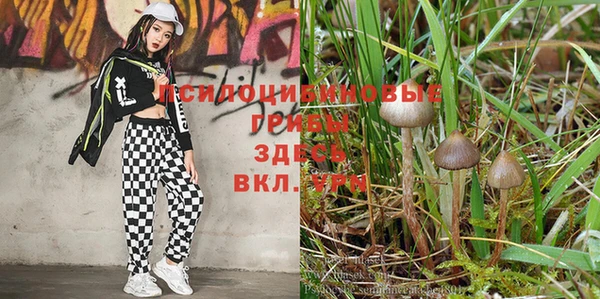 крисы Балабаново
