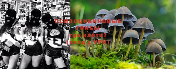 крисы Балабаново